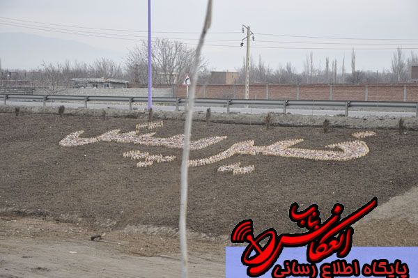 d3787968271aadf66b69e2f7e02571e2_L