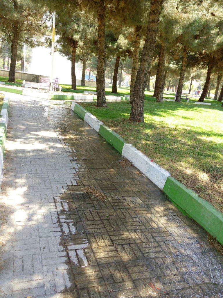 photo_2015-07-30_01-12-57