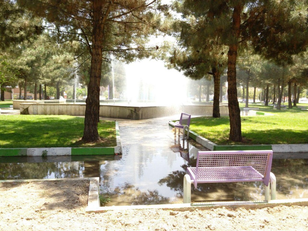 photo_2015-07-30_01-13-11