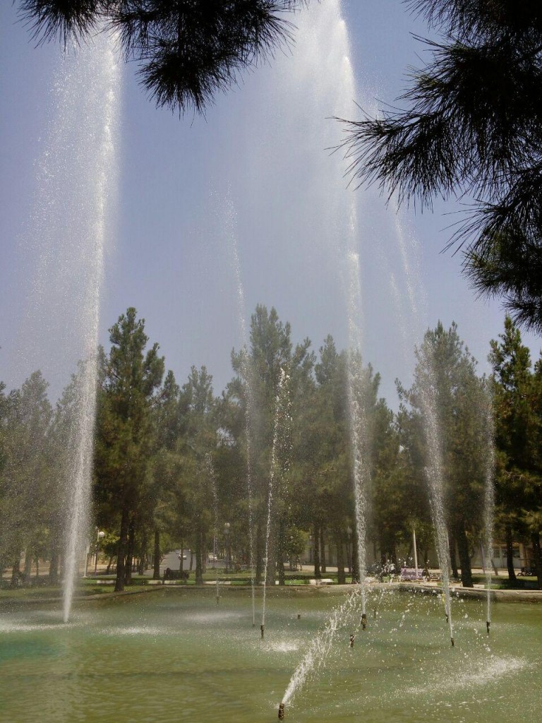 photo_2015-07-30_01-13-20