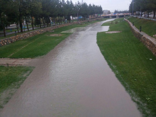 photo_2015-10-31_22-42-44