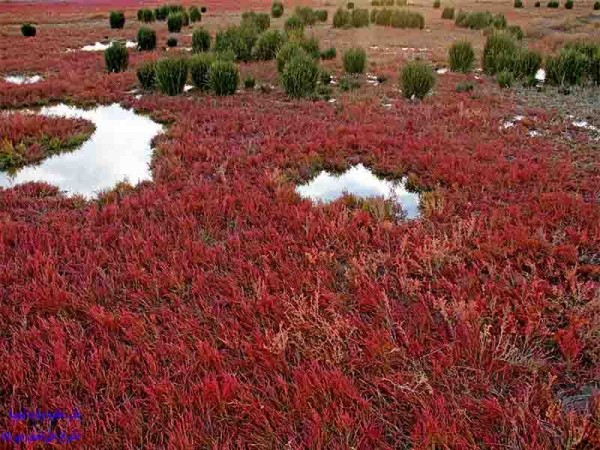 ۸۵ca514f9886a96d3c067f991afcb736_L