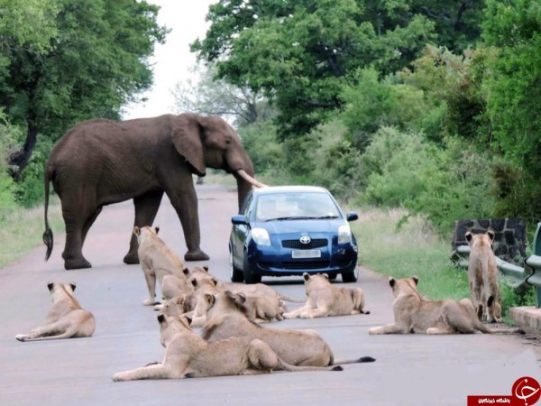 ۳۹۲۱۴۷۸_۸۰۹