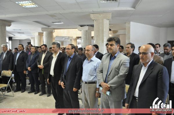 photo_2016-07-06_00-01-57