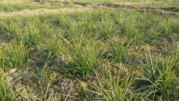 photo_2016-08-01_12-30-25