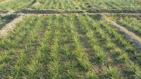 photo_2016-08-01_12-32-10