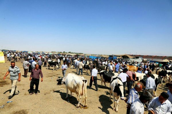 photo_2016-08-09_17-29-21