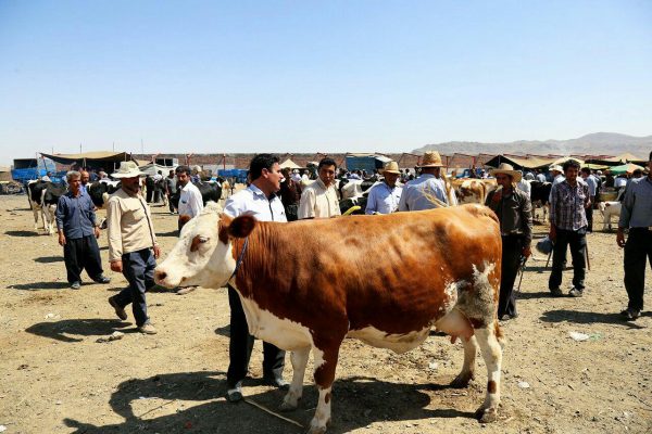 photo_2016-08-09_17-29-33