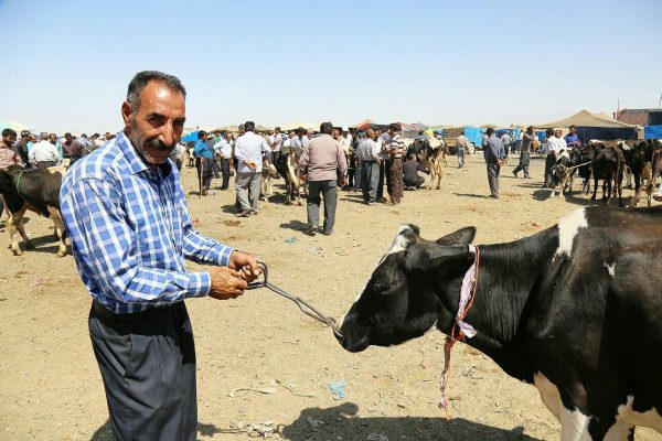 photo_2016-08-09_17-30-26