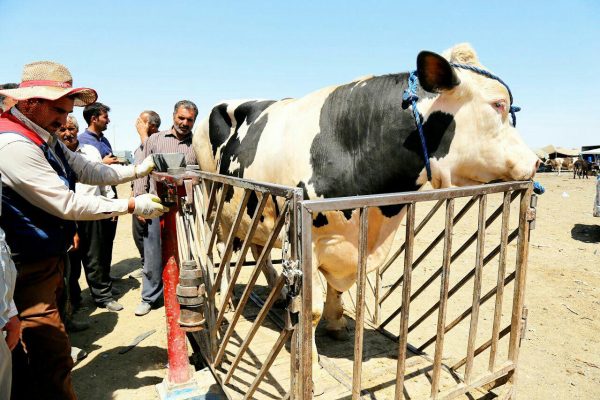 photo_2016-08-09_17-30-34