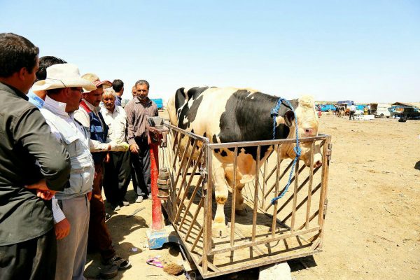 photo_2016-08-09_17-30-42