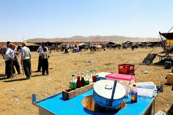 photo_2016-08-09_17-30-46