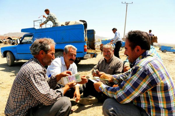 photo_2016-08-09_17-30-59