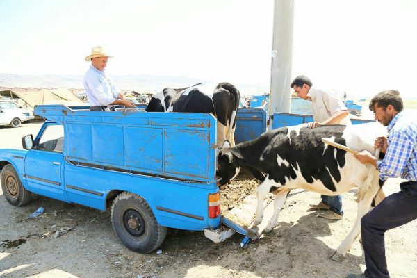 photo_2016-08-09_17-31-03