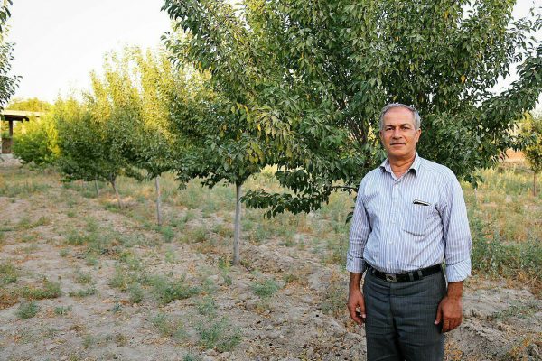 بهزاد نبی قدیم