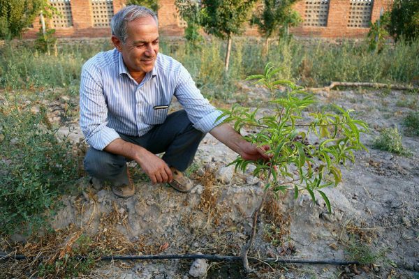 photo_2016-08-13_02-02-13