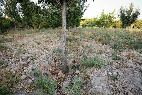 photo_2016-08-13_02-02-19