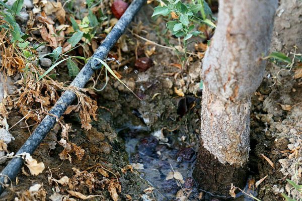 photo_2016-08-13_02-02-27
