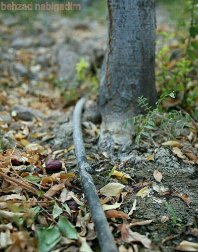 photo_2016-08-13_02-02-35