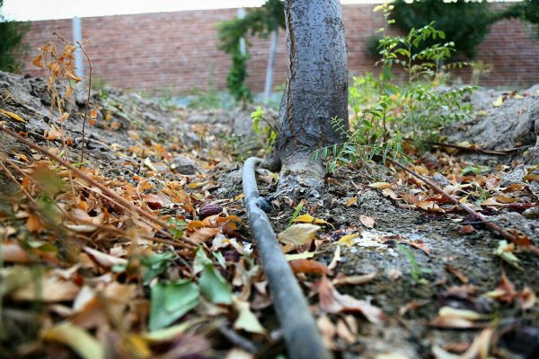 photo_2016-08-13_02-03-24