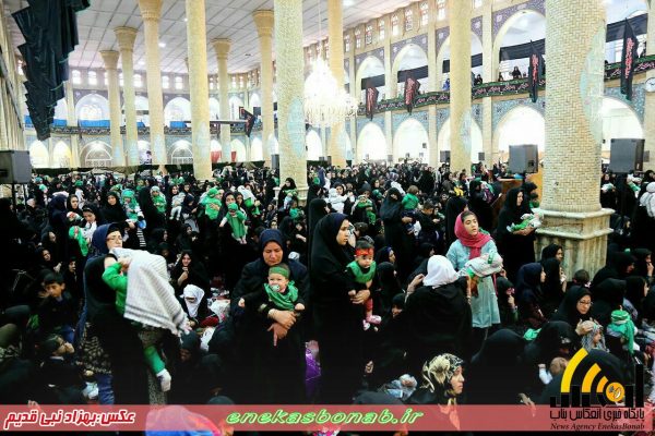 photo_2016-10-08_13-11-11