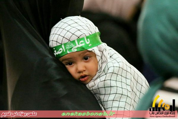 photo_2016-10-08_13-11-29