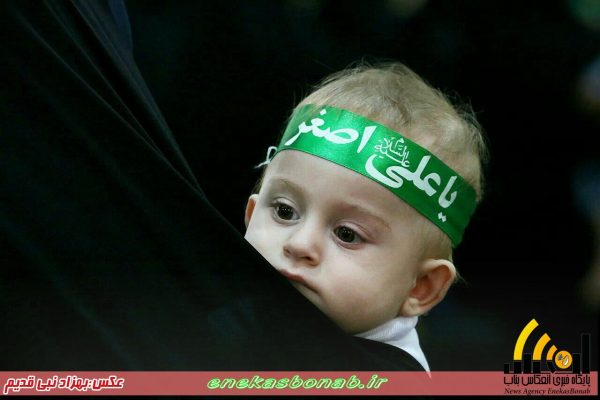 photo_2016-10-08_13-11-36