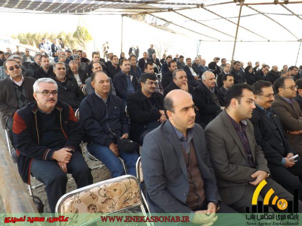 photo_2016-11-10_23-05-52