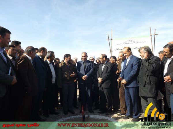 photo_2016-11-10_23-06-29