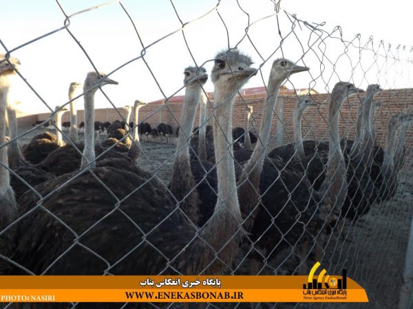 photo_2016-11-26_14-30-13