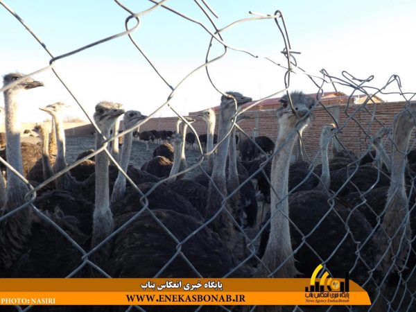 photo_2016-11-26_14-30-20