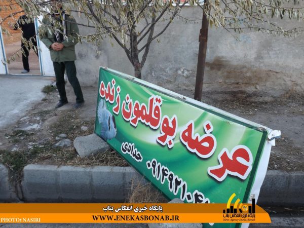 photo_2016-11-26_14-30-38