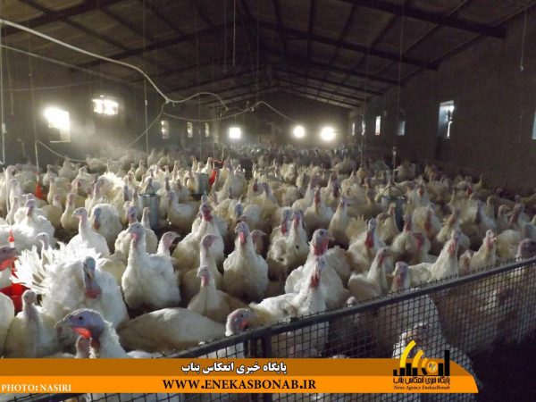 photo_2016-11-26_14-30-49