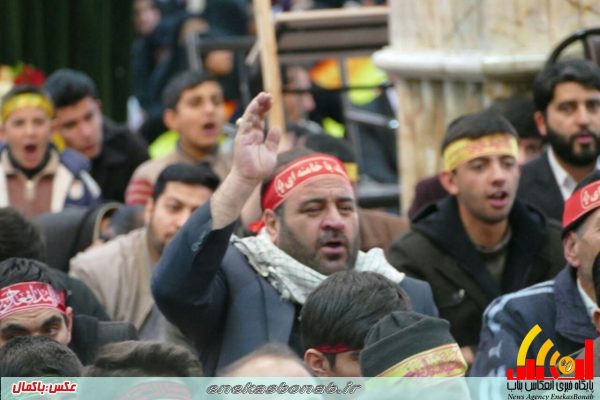 photo_2016-11-26_17-42-33