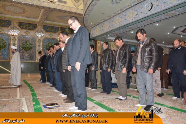 photo_2016-11-27_17-02-28