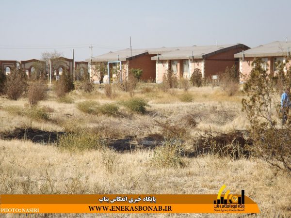 photo_2016-12-06_16-19-26