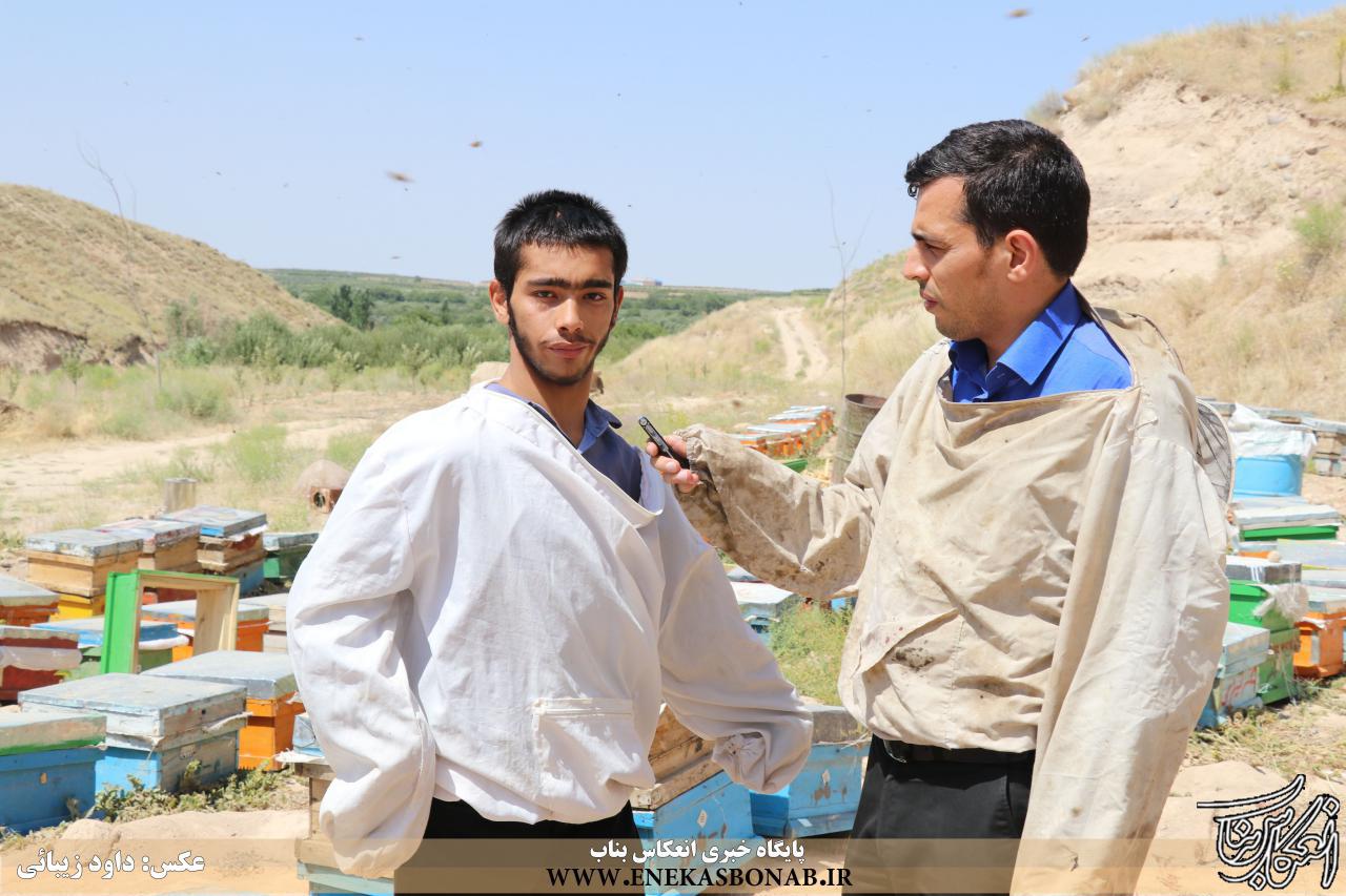 معلولیتم موجب محدودیتم نشد/ کار خود را با ۵ کندوی زنبور شروع کردم/مسئولان قشر معلولان را فراموش نکنند