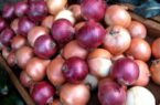آغاز واردات ۵۰ هزار تن پیاز؛ بازار هفته آینده به ثبات می رسد