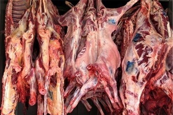 کشف ۲۰۰ کیلوگرم گوشت فاسد در شهرستان بناب/ برخورد جدی با برهم زنندگان نظم اقتصادی