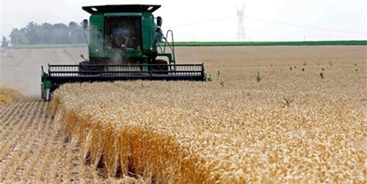 کاهش ۲ درصدی ریزش و ضایعات گندم در آذربایجان شرقی / ریزش و ضایعات گندم در استان بیشتر از کشور