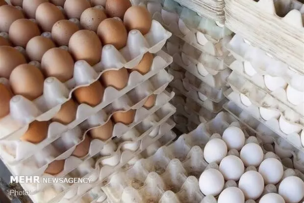 طوفان تخم مرغ در بازار/ چرا قیمت از ۵۰ هزار تومان گذشت؟