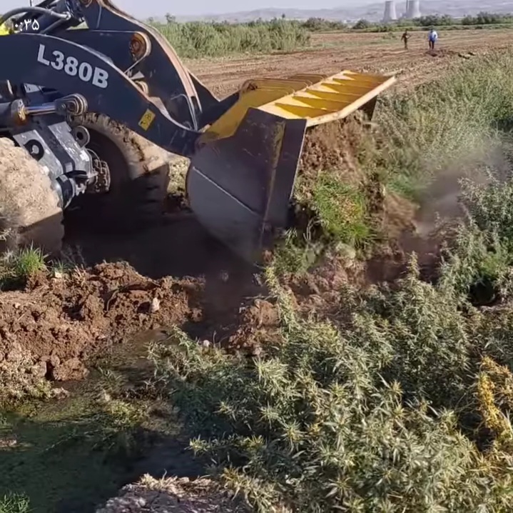 تخریب مزارع کشت شده با فاضلاب شهری توسط نهادهای نظارتی 