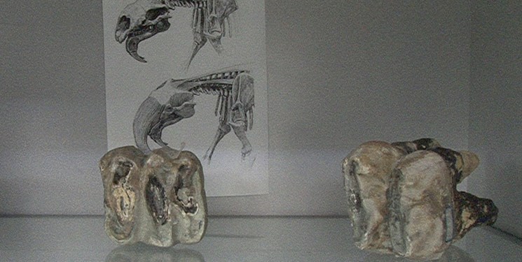 منطقه فسیلی مراغه بهشت فسیل شناسان جهان