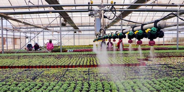 استقرار ۱۱۰۰ شرکت دانش بنیان در ۱۰ دهکده فناوری و نوآوری کشاورزی کشور