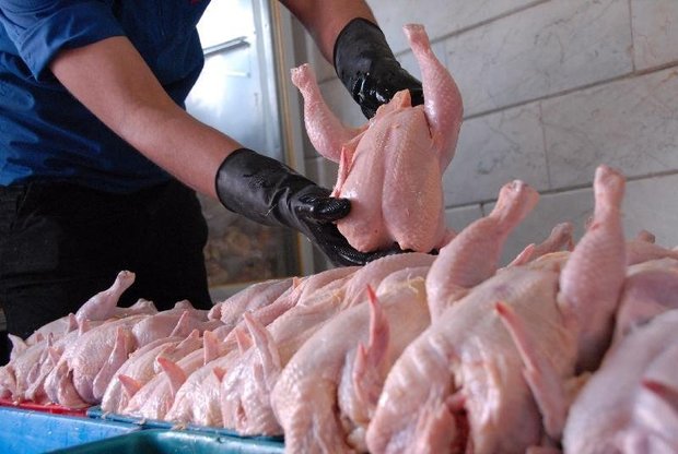 افزایش توزیع مرغ گرم در بازارهای آذربایجان‌شرقی