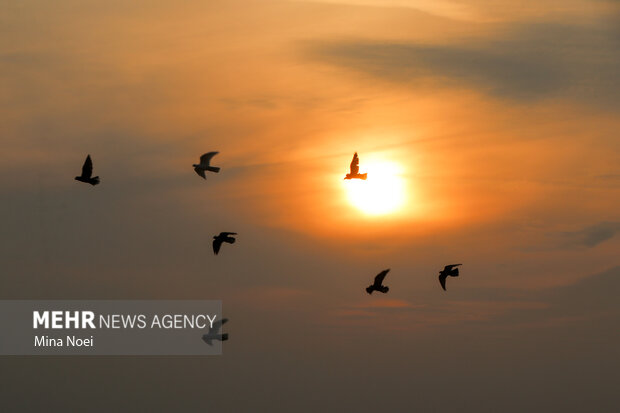دمای هوای آذربایجان شرقی تا پنج درجه افزایش می‌یابد
