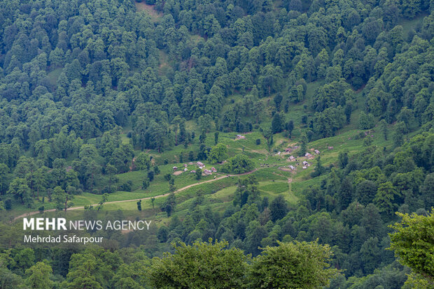منابع طبیعی آذربایجان‌شرقی با کمبود نیرو مواجه است