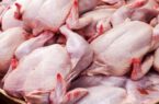 اعزام نمایندگان ویژه نظارت بر نحوه مدیریت توزیع گوشت و مرغ