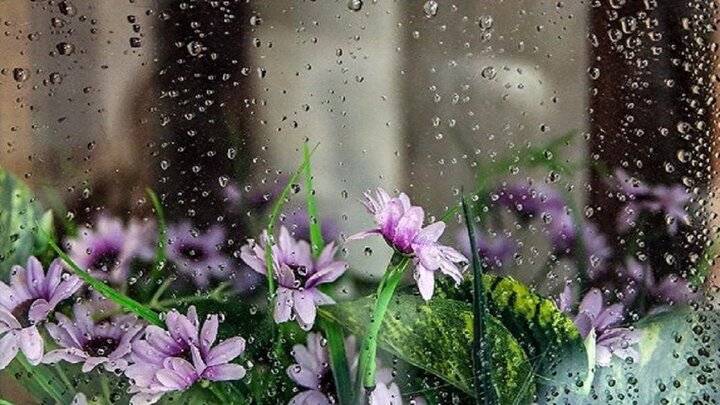 تشدید فعالیت سامانه بارشی در آذربایجان شرقی