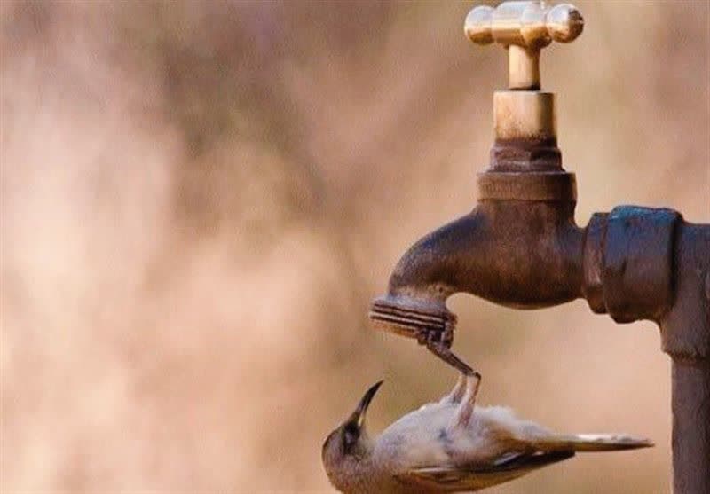 دیگر آن آب آلوده هم پیدا نمی‌شود!